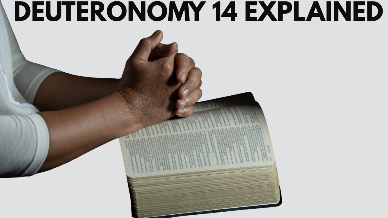Deuteronomy 14 Explained